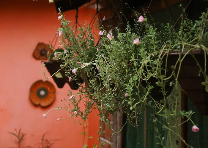 Pousada Vitória do Lopes